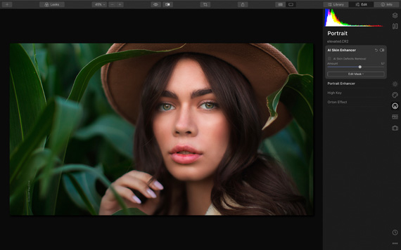 luminar portrait tools