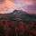 Interesting Photo of the Day: Mount St. Helens at Sunrise