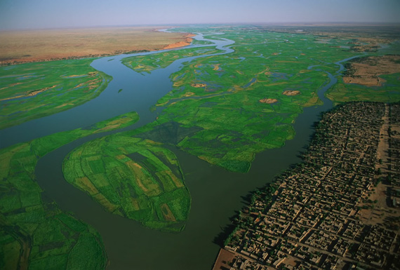 overhead view rice plantation niger river