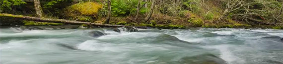 Long Exposure Water Photography Tutorial