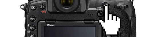 Tutorial: Back Button Focus to Speed Up Your Photography