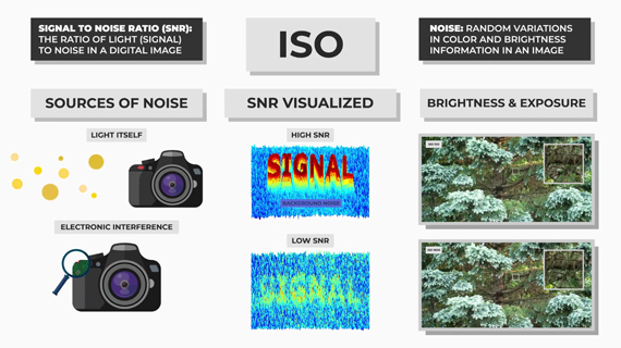 iso and singnal to noise ratio explanation