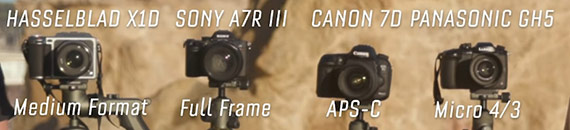 How Sensor Size Affects Your Photography