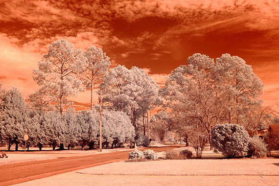 infrared photo using filter