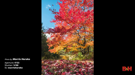 Example of a great location for fall photography