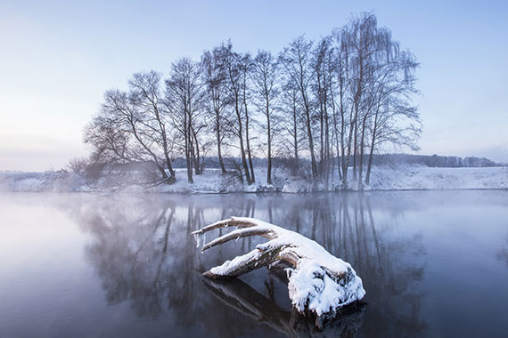 snowy landscape