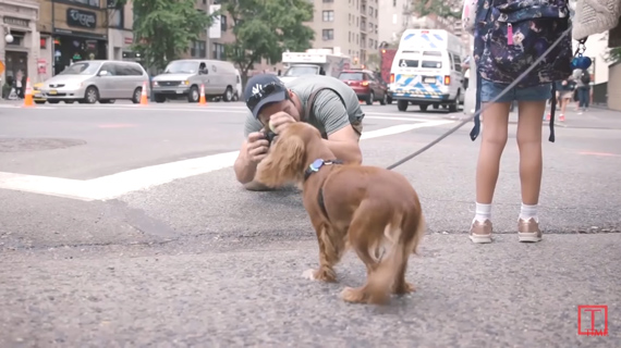 get low for photographing dogs