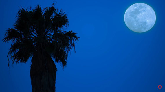 telephoto lens makes the moon appear larger