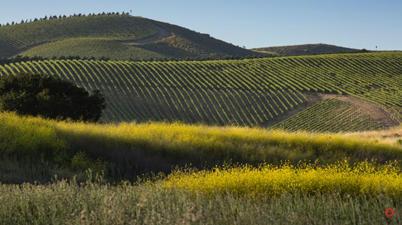 layers of landscape using telephoto lens