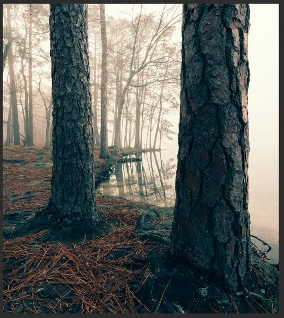 misty wood after split toning