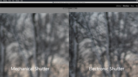 electronic versus mechanical shutter