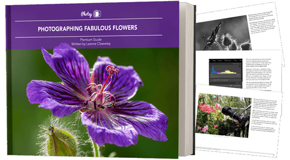 flower photo guide