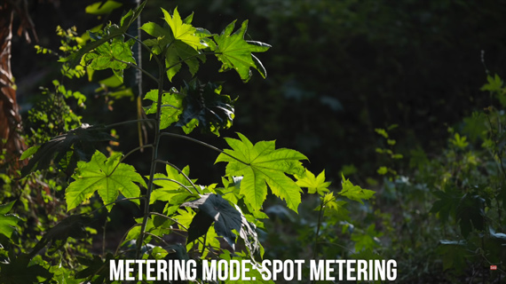 spot metering mode