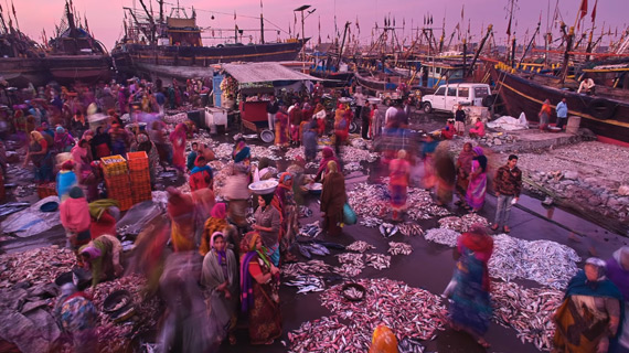 a fish market