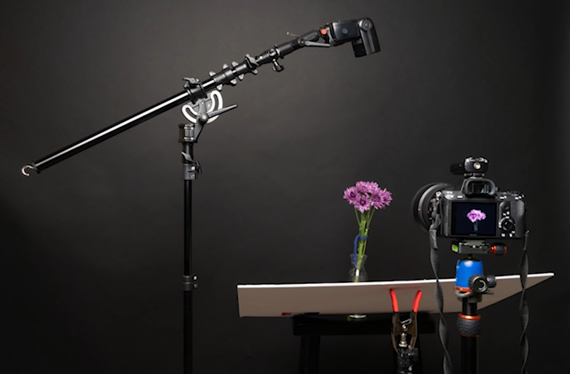light setup for photographing flower with dark background