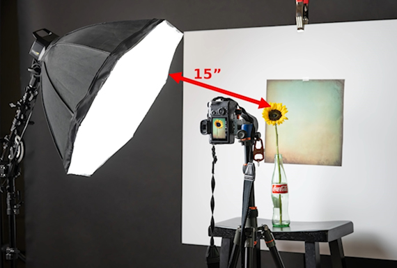 setup for flower photography with colorful background