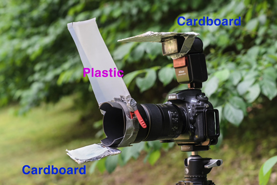 DIY flash diffuser for macro photography