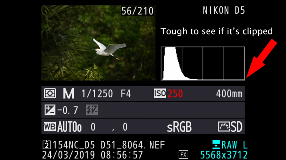 histogram vs blinkies