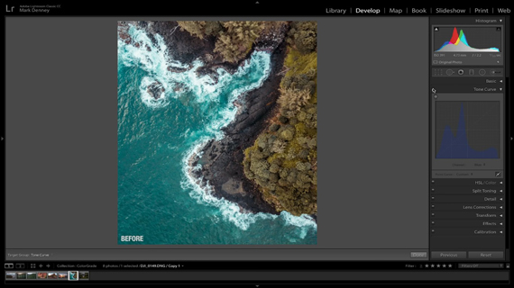 before tone curve adjustment in lightroom