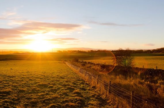 golden hour landscape