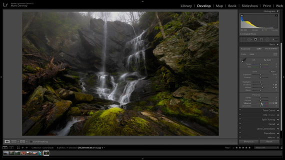 vibrance and saturation adjustment in lightroom