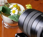 Macro Photography Focus Stacking Tutorial