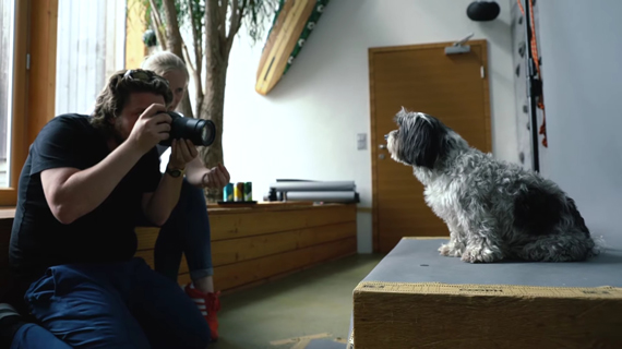 photographing animals in natural light