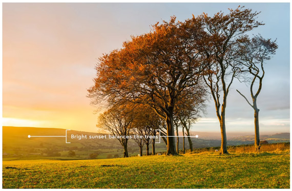 balancing light and shadows in landscape photography