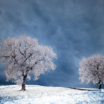 How to do Infrared Photography