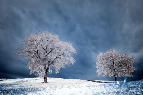 infrared photography