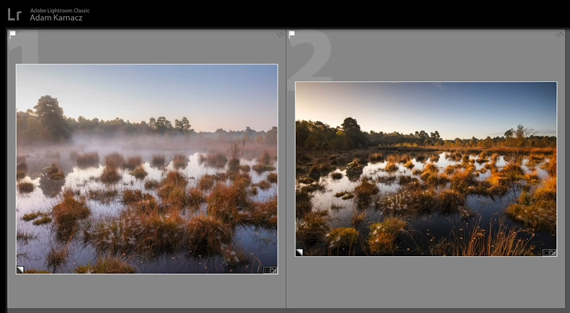 misty landscape