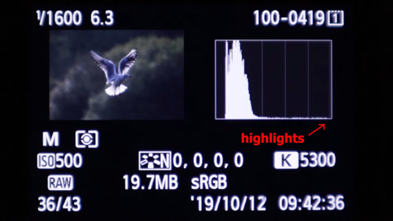 using a histogram to evaluate exposure