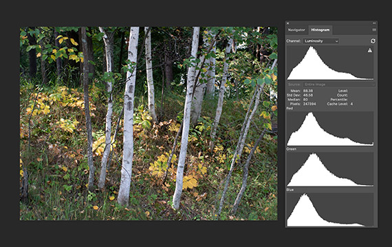 use histogram to judge contrast and clarity