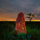 Interesting Photo of the Day: Fireflies on a Termite Mound