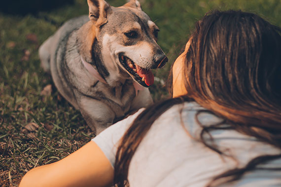 pet photography mistake not showing faces