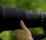 Wildlife Photography From Your Backyard