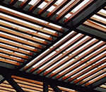 The Dynamics of Diagonal Lines