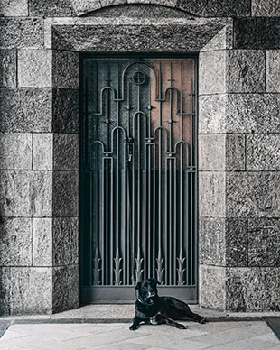 Door portrait photography