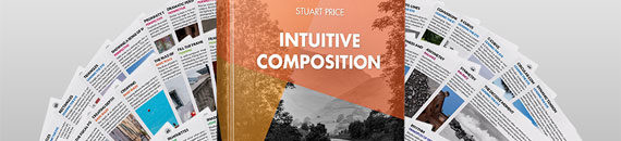 New: Intuitive Composition Photo Guide & Cheat Sheets