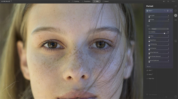 luminar ai face tutorial