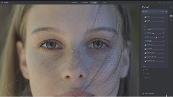 luminar ai face tutorial