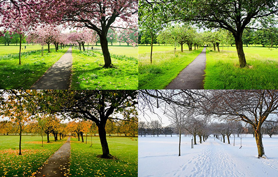 which season is best for photography