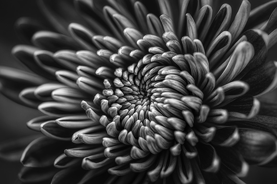 black and white photo tutorial