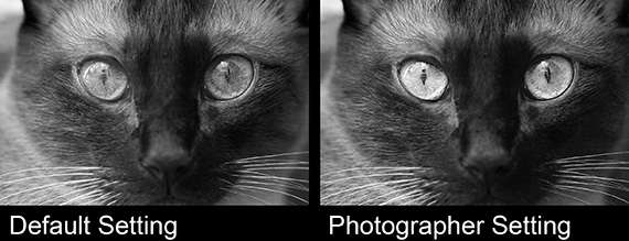 black and white photo tutorial