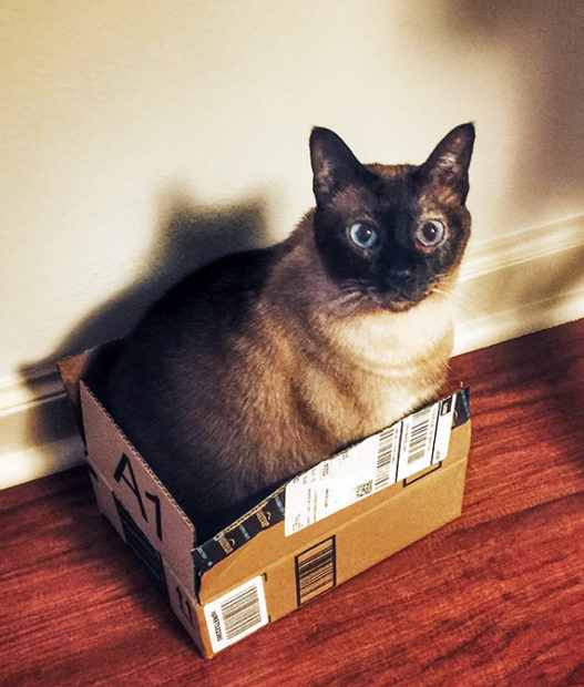 Juxtaposition Exercises to Develop Your Photographic Sense of Irony