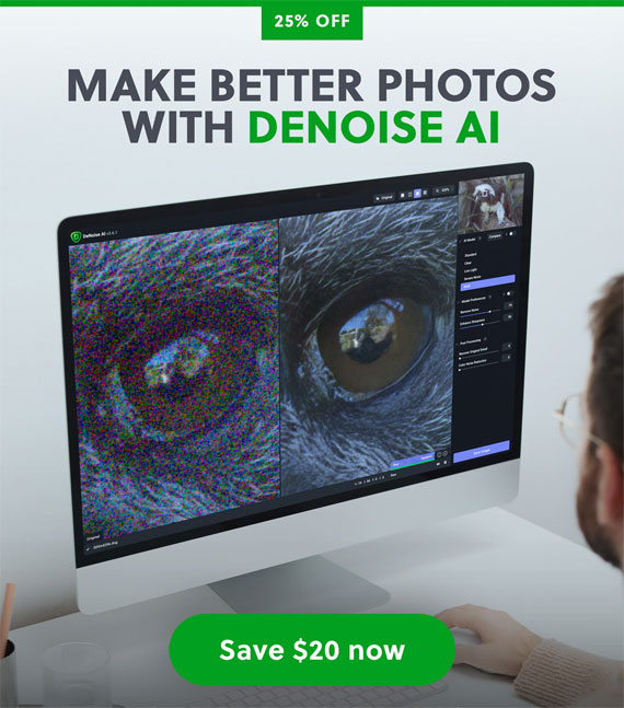 denoise ai