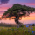 Interesting Photo of the Day: Vibrant Sunset in Kyrgyzstan