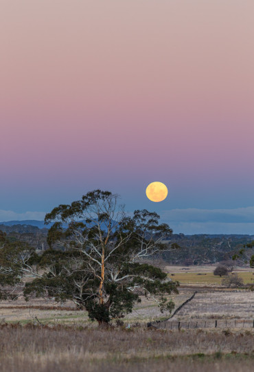 lunar eclipse 2021