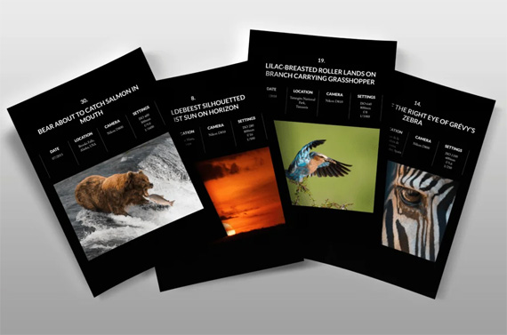 wildlife photo case studies