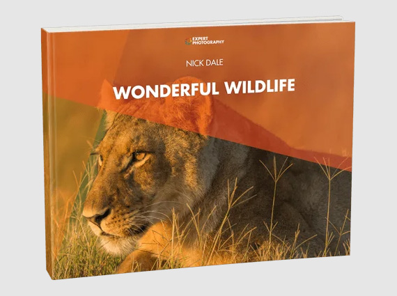wonderful wildlife ebook